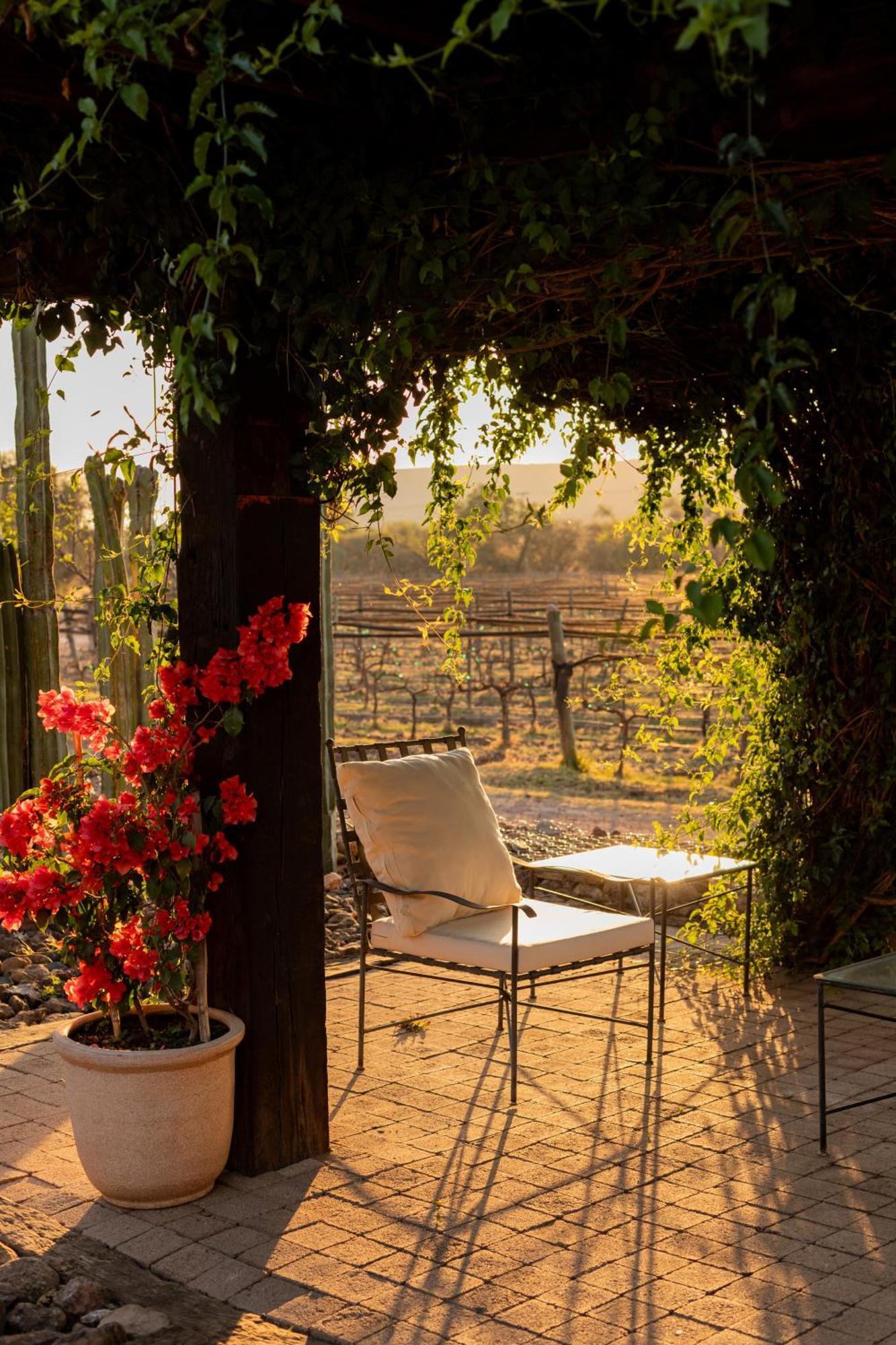 Hotel Casa De Quino Viborillas ภายนอก รูปภาพ